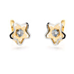 Pendientes estrella calado circonita